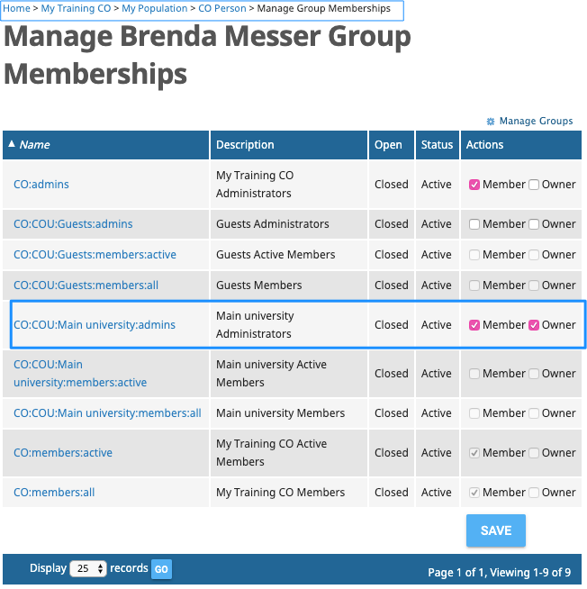 Screen shot - Method 1 - set admin owner & member from the CO Person' highlighted
