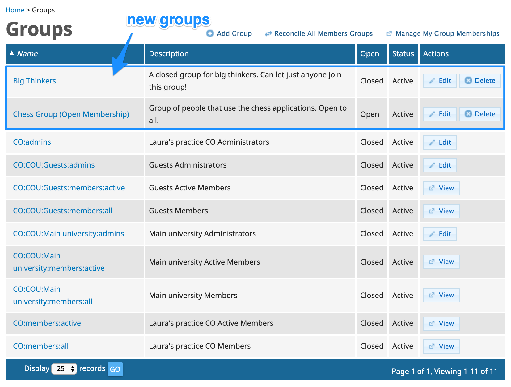 Screen shot - new groups