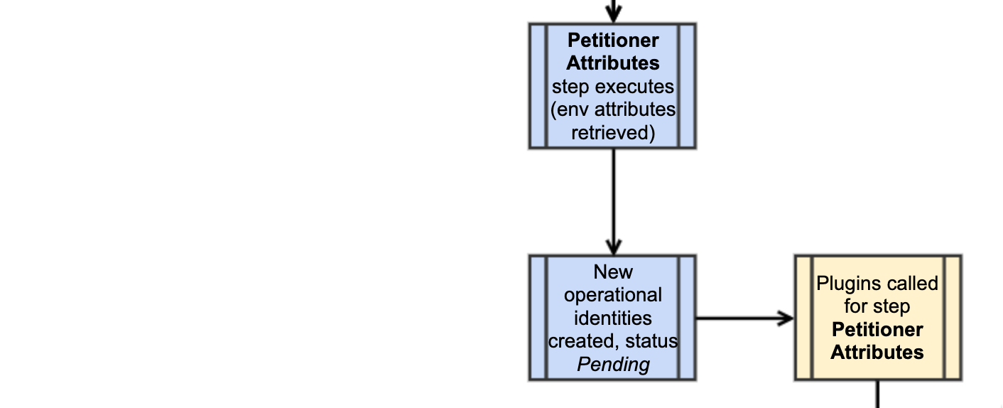 Step 4. Petitioner Attributes Flow diagram
