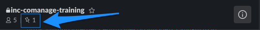 screen shot of the pinned item icon