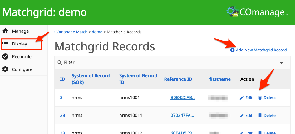 Screenshot of the list of records in a Matchgrid.